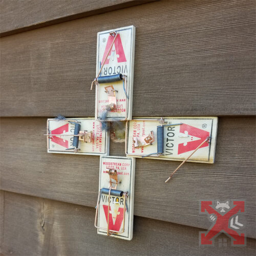 Traps Set At Home Entryway